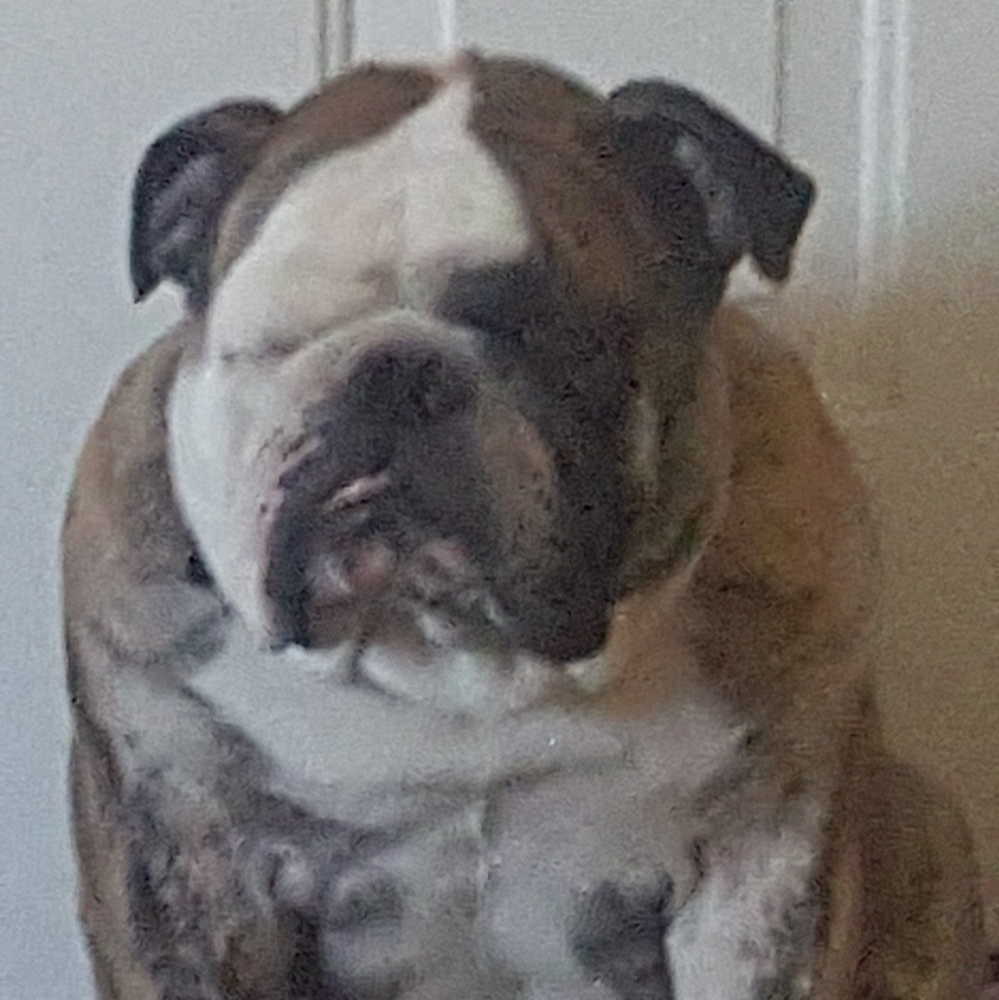 Meet your Posher, Cynthia